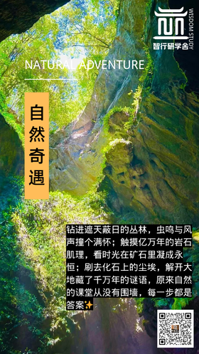 【智行研学】暑期研学活动