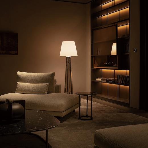 摩根X孟也大师联名款极光系列面光落地灯 商品图2