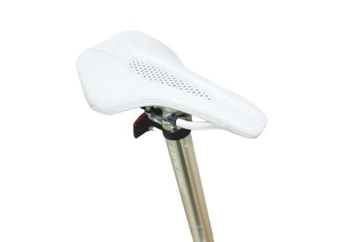 UPLAND梵高艺术涂装系列超轻铝合金梵高定制封闭轮折叠车 向日葵涂装 商品图8