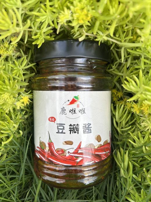 豆瓣酱（川味） 260g 商品图1