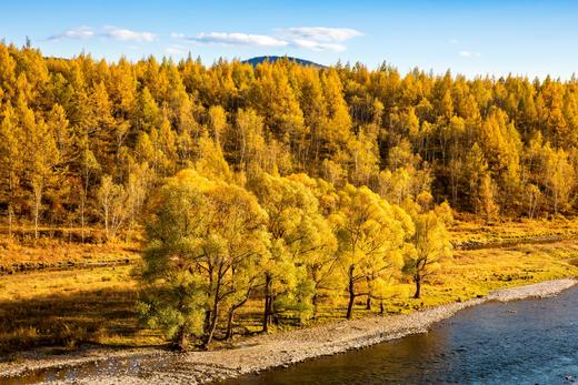 北国之秋 9 天摄影线:·大兴安岭阿尔山、呼伦贝尔、蘑阿公路、扎龙湿地、根河、满洲里边境 商品图2