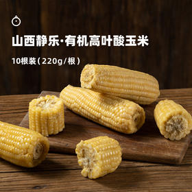  企鹅市集|山西 有机叶酸玉米 10根装（220g*10） 自然生长 3糯1甜  农科院玉米