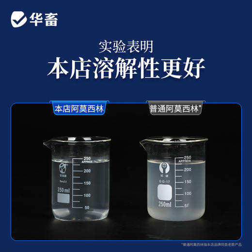 【社群专享】10%阿莫西林可溶性粉 溶解性更好 吸收效果更好  几乎无停药期 商品图2