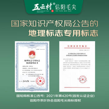 五云村新茶信阳毛尖500g茶叶绿茶特级春茶2罐共1斤自己喝带礼袋盒 /水饮冲调 /茗茶 /绿茶 商品图2