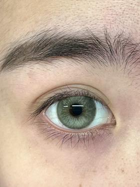 Serltyca日抛美瞳 香槟猫眼棕 14.2mm