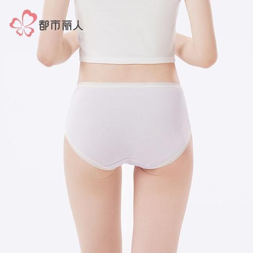 都市丽人女士内裤40支棉内裤女士平角内裤女内裤纯棉内裤LKH5W6 商品图3