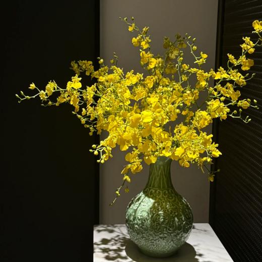 柠檬黄跳舞兰丨草花 商品图1