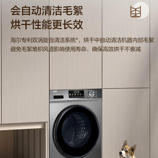 海尔（Haier）洗衣机 EG100HMATE29S 商品图8