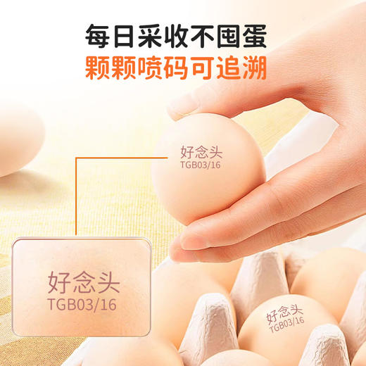 【叮叮优选好物 -非自营】好念头品牌  始祖黑鸡可生食鸡蛋，不可用储值金，不参与店铺其他活动 商品图3