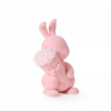 ROSEONLY THE PINK至亲挚友系列 永生玫瑰 甜心兔康乃馨粉色公仔 公仔玫瑰花礼盒 送爱人女友礼物 商品缩略图1