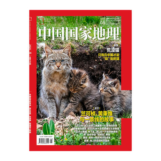 《中国国家地理》202508  荒漠猫  竺可桢 黄秉维 百山祖 帝都蘑菇图鉴 潮菜海洋菜系 霞浦海上田园 商品图2