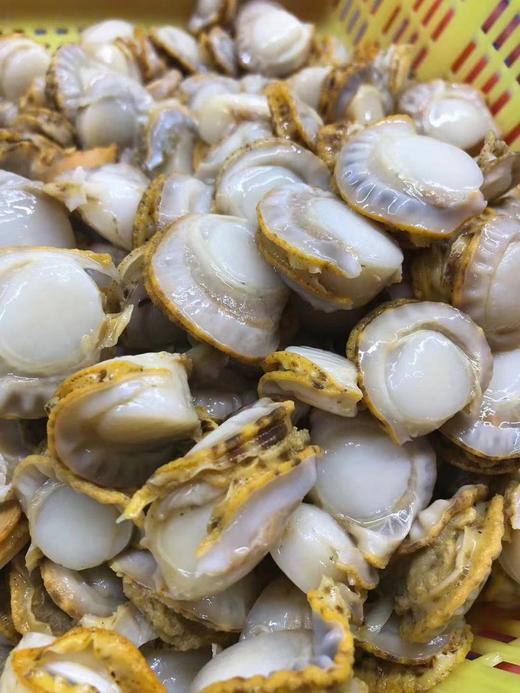 长岛红贝-【陌上精选长岛红贝肉】 高蛋低脂 肥厚鲜美 健康美味，随手一做就是大餐 肉质鲜美 无任何添加2.5斤/袋（110-170粒） 商品图13