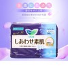 日本进口花王乐而雅卫生巾棉柔加长透气夜用护翼F30CM*10无荧光剂效期26年6月 商品缩略图7