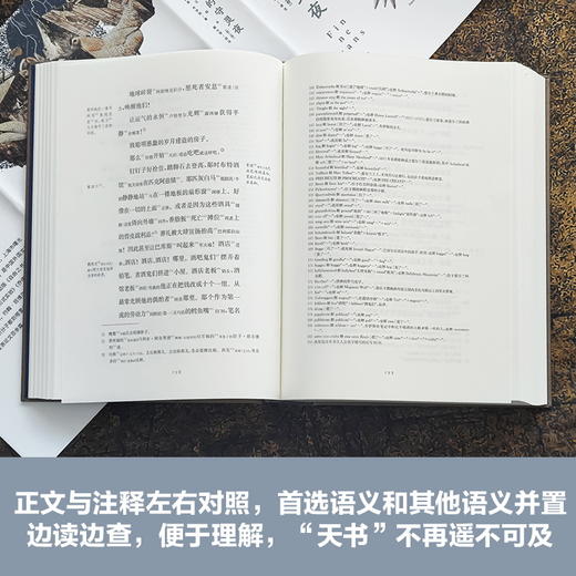 芬尼根的守灵夜（全译注释本）（乔伊斯巅峰巨作，20世纪难以逾越的经典！填补80年空白，全球首部中文全译注释本，41856条注释！阅读体验超越《尤利西斯》《追忆似水年华》） 商品图4