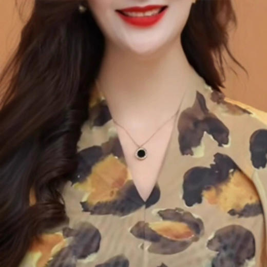 春季高端网纱时尚洋气显瘦豹纹V领打底衫女2025新款设计感修身T恤 商品图3