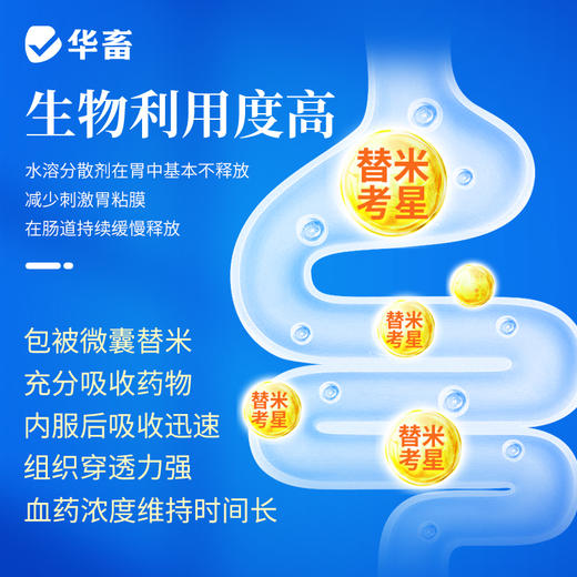 【社群专享】华畜20%包被替米考星预混剂100g  高热干咳 呼吸困难 气喘病 禽畜通用药 商品图2