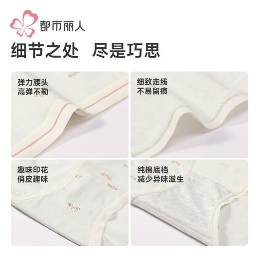 都市丽人女士内裤40支棉内裤女士平角内裤女内裤纯棉内裤LKH5W5 商品图4