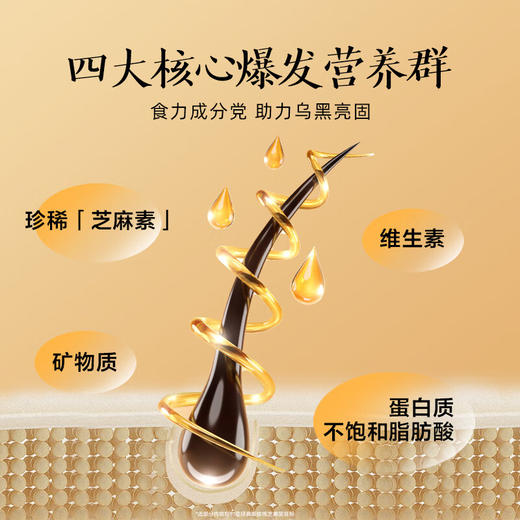 五谷磨房低GI黑芝麻糊米糊核桃芝麻黑豆粉即食速食早餐代餐粉600g 商品图3