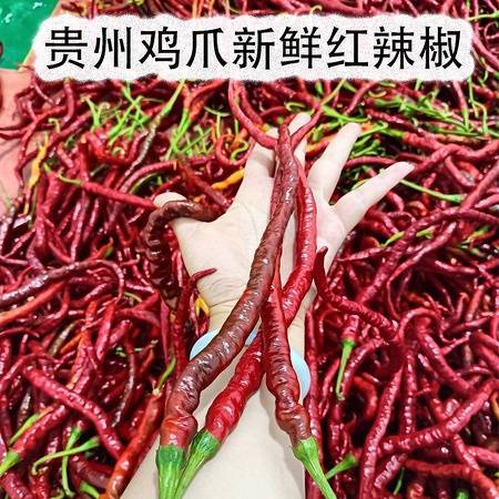 安顺普定【神划新鲜鸡爪辣红辣椒新鲜发货5斤】新鲜鸡爪，精选辣椒，特制酱料。口感鲜香，辣度适中。简单易做 商品图2