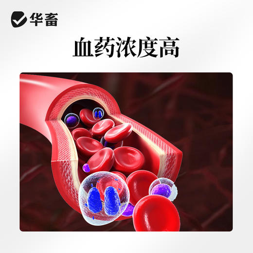 【社群专享】华畜10%酒石酸泰乐菌素可溶性粉 传染性鼻炎 支原体感染 禽畜通用药 商品图2