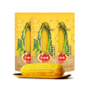 水果玉米228g*3棒 商品缩略图0