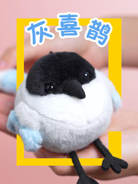 鸦科小宝贝儿！！