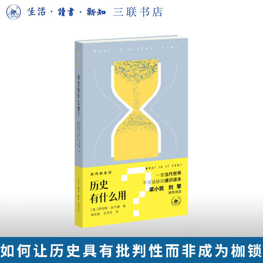 历史有什么用？时代的发问丛书  罗伯特·吉尔德 著 三联书店旗舰店 商品图0