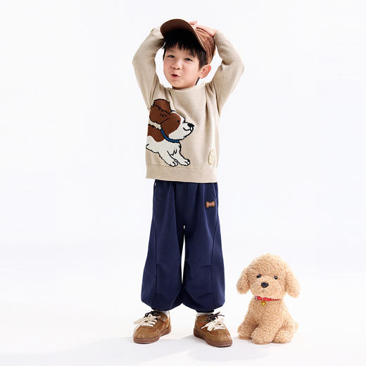 【实体店同款】男童圆领针织衫秋季新款安奈儿童装XB534113 商品图3