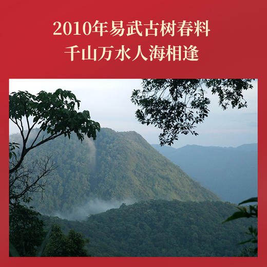 2025年开门红普洱熟茶礼盒装（2010年原料）180克 商品图1