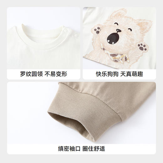 【实体店同款】男童圆领长袖针织衫秋季新款安奈儿童装XB531173 商品图4