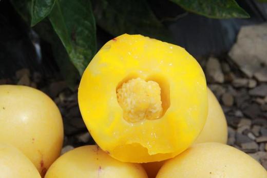 树上熟人参果——真正树上熟 更甜更多汁 商品图2