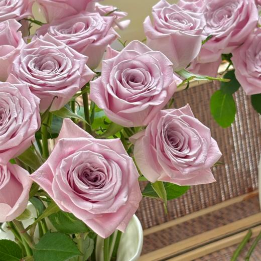 甜蜜曼塔单头玫瑰丨AB级花材 商品图2