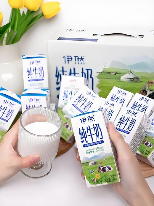 【小来】积分专享99到手超值5箱装🔥 伊利伊然 纯牛奶 甄选牧场大品牌值得信赖 200ml*10瓶/箱*5箱 商品图8