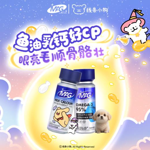 MAG线条小狗联名礼盒-内含鱼油、联名产品、宠物陶瓷碗、冰箱贴 商品图2