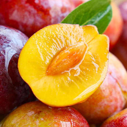 新疆西梅一级4斤装 商品图3