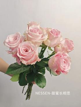 2026年4月-草莓检测报告（开远）