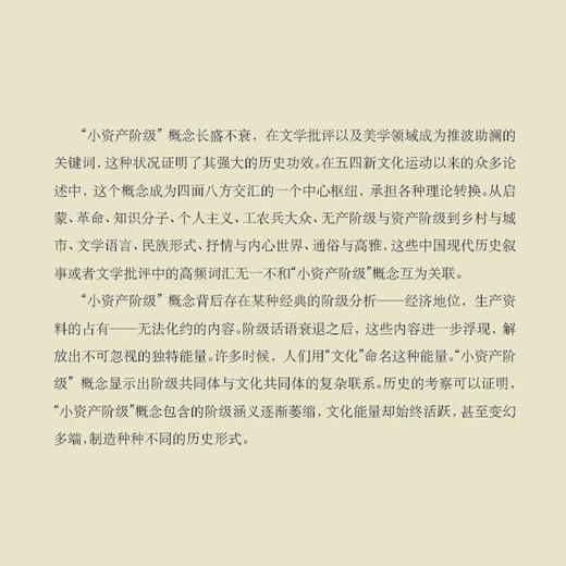 摇摆的叛逆 南帆 著 三联书店旗舰店 商品图1