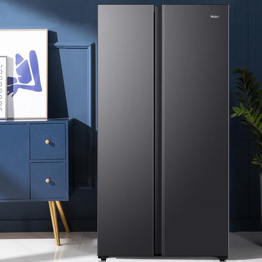 海尔（Haier）冰箱 BCD-519WLHSSEDX9 商品图0