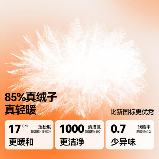 男童短款羽绒服冬季新款安奈儿童装TB545574 商品图2