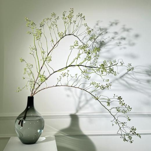 山归来丨配果【氛围感花材】 商品图1