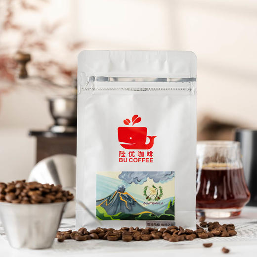 【茶馆咖啡】危地马拉 咖啡之花丨SHB高等级特硬咖啡之花咖啡豆，水洗豆，中度烘焙，优雅活泼，干净口感，层次分明（满90元包邮） 商品图2
