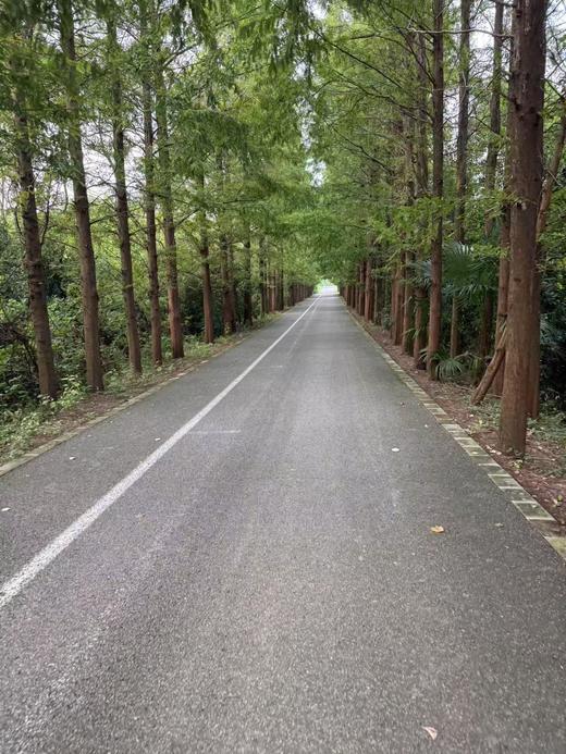 WeCycle大宁8/14小布广富林骑游 商品图2