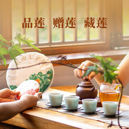 双陈普洱2025年莲饼（纪念版）生茶金莲绽放初心可鉴 商品图4