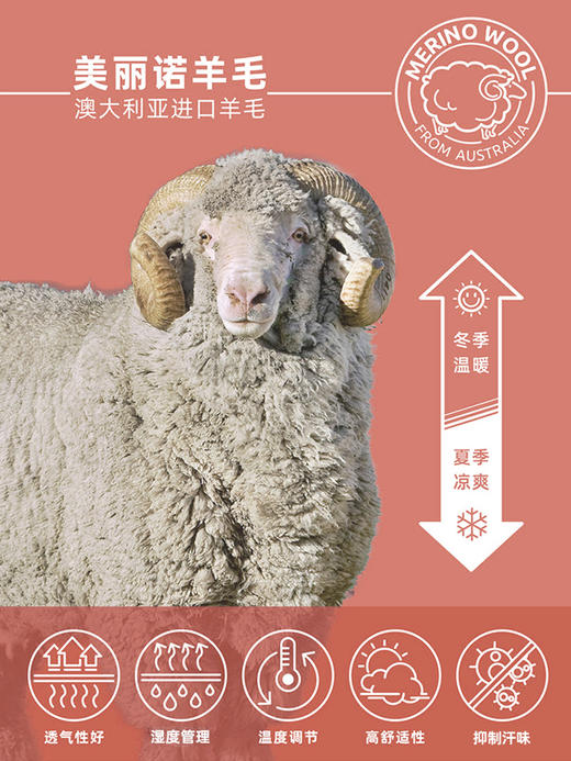 赛乐美丽诺羊毛背心越野跑路跑功能背心舒适透气 商品图1