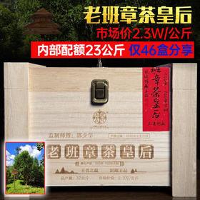 老班章茶皇后古树纯料 | 2020年头春头采