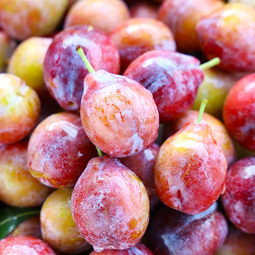 新疆西梅一级4斤装 商品图5