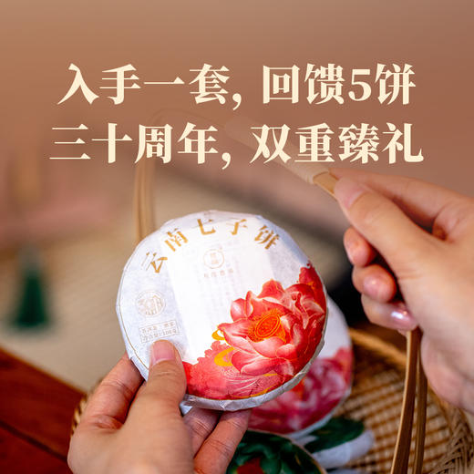 双陈普洱2025年莲饼（纪念版）熟茶金莲绽放初心可鉴 商品图3