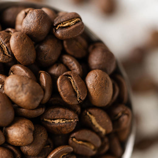 【茶馆咖啡】哥伦比亚 大嘴鸟咖啡丨阿拉比卡豆Supremo苏帕摩等级咖啡豆，水洗豆，中度烘焙，口感顺滑平衡（满90元包邮） 商品图6