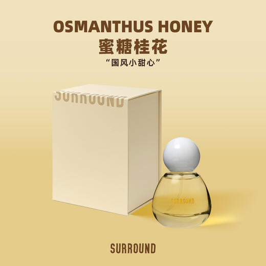SURROUND馥点系列DESSERT浓香水EDP淡香精礼盒装 商品图6