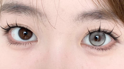 Allecon半年抛 小熊软糖灰 14.5mm  有0-1000度 商品图5